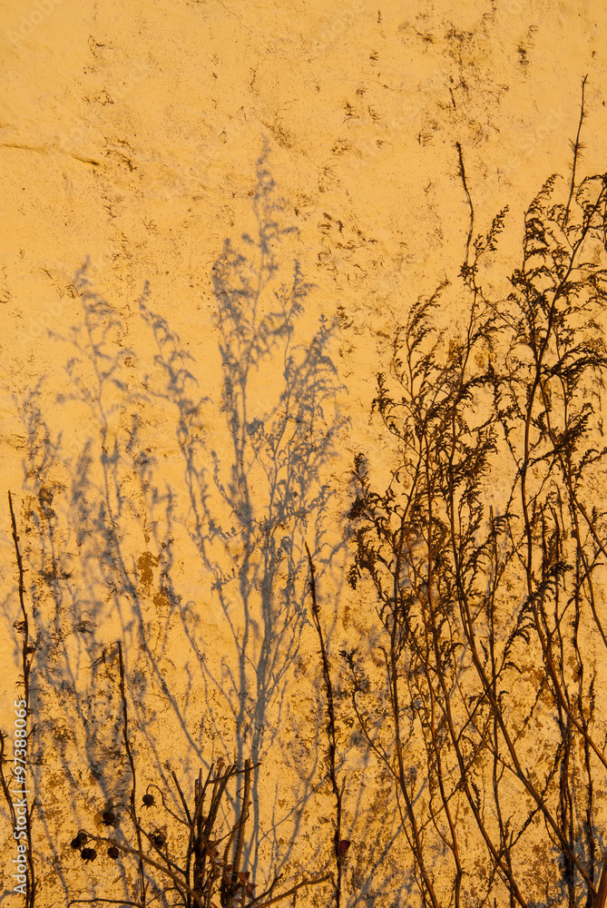Obraz premium Shadow on stucco wall