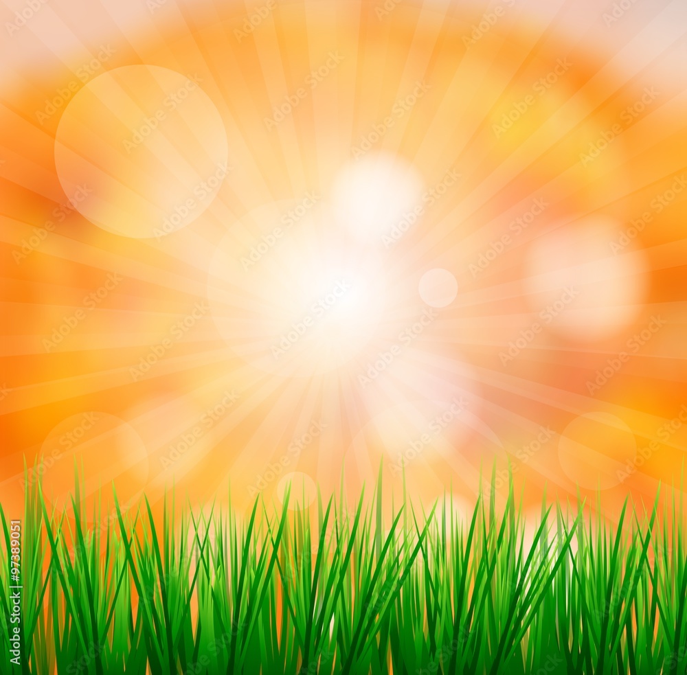 Fototapeta premium Fresh spring green grass with sunlight blured background,Nature illustration