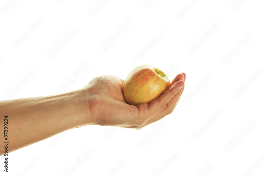 Hand holding an apple