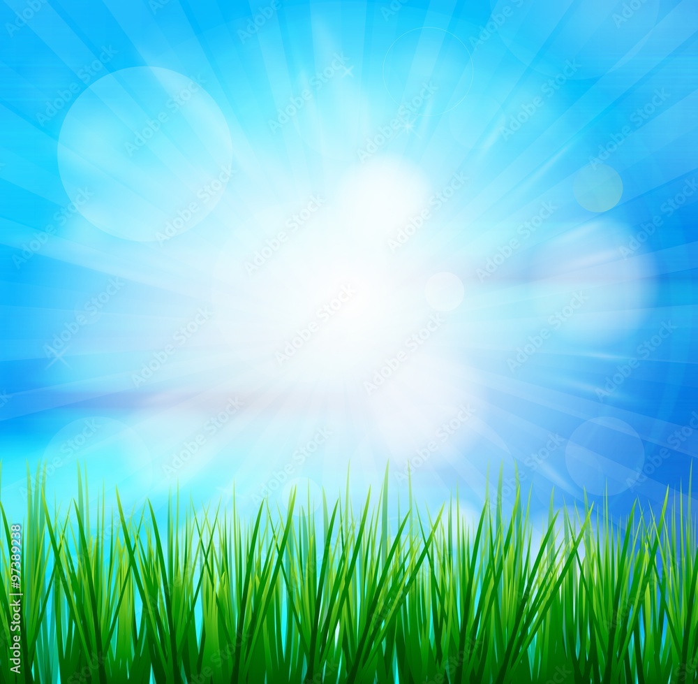 Naklejka Świeża wiosna zielona trawa z światłem słonecznym blured tło, natury ilustracja