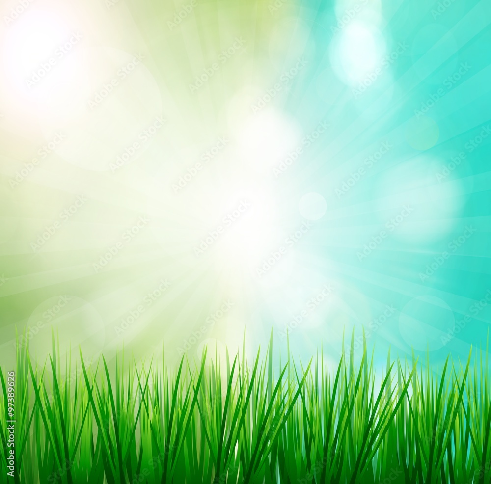 Naklejka Świeża wiosna zielona trawa z światłem słonecznym blured tło, natury ilustracja