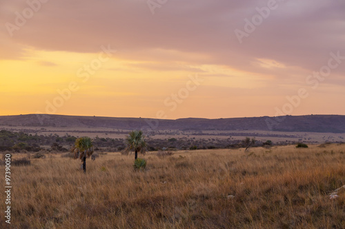 Bush desert landscape with rock in Madagascar, Africa. © jordieasy