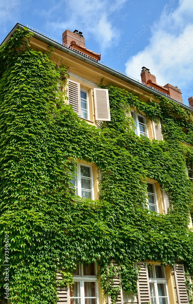 Urban House with Green Walls