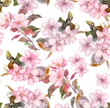 Pink fruit (apple, cherry, sakura) flowers. Seamless floral template. Aquarelle on white background