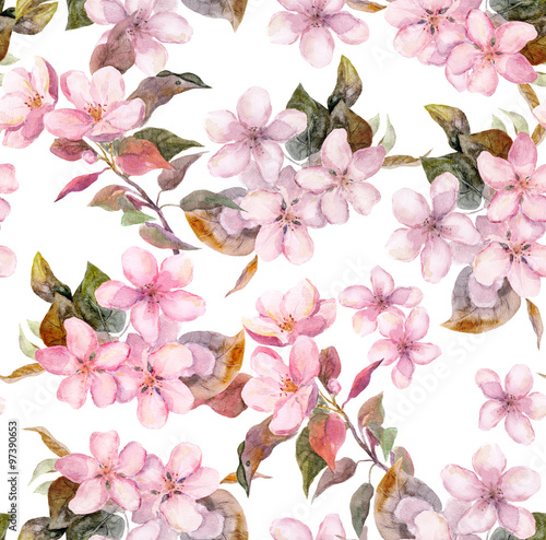 Pink fruit  apple  cherry  sakura  flowers. Seamless floral template. Aquarelle on white background