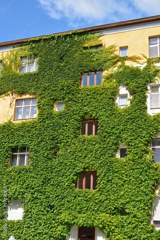 Urban House with Green Walls