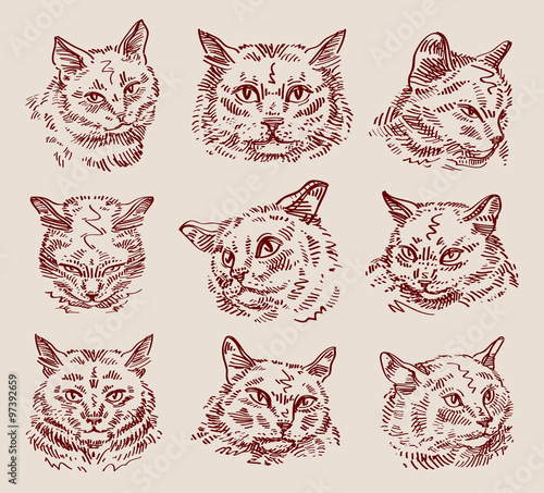 hand drawn sketch set cats. vector illustration