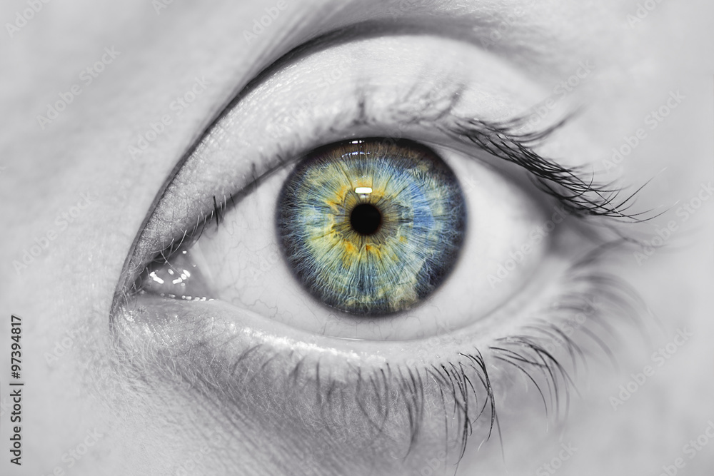 Naklejka premium insightful look blue eyes