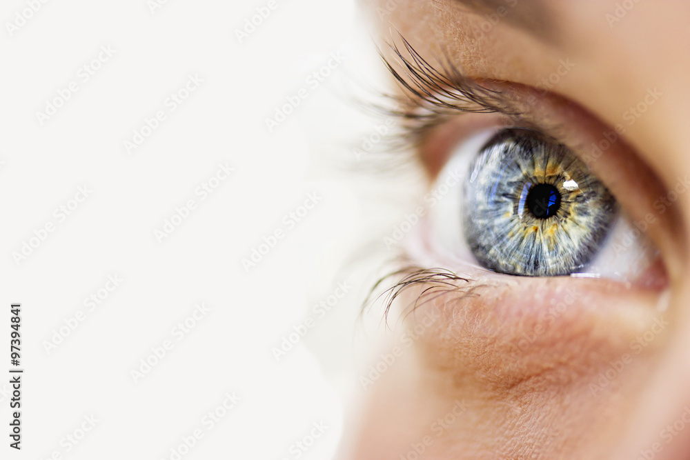 Obraz premium wnikliwe spojrzenie niebieskie oczy