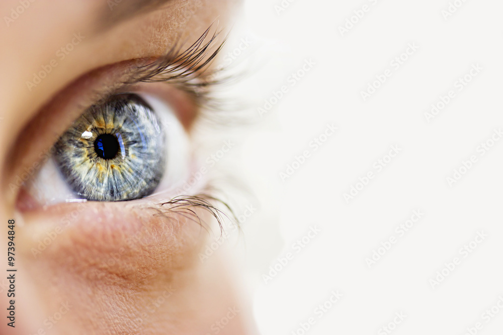 Naklejka premium wnikliwe spojrzenie niebieskie oczy