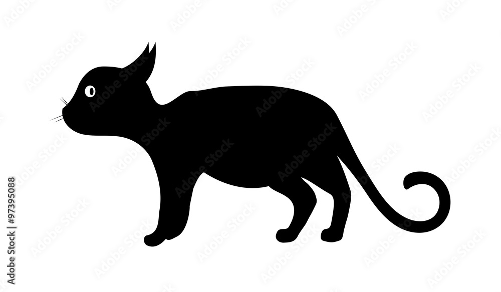 Кот, серия изображений-приключений про черного кота