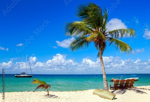 Fototapeta Naklejka Na Ścianę i Meble -  Caribbean beach in Dominican Republic