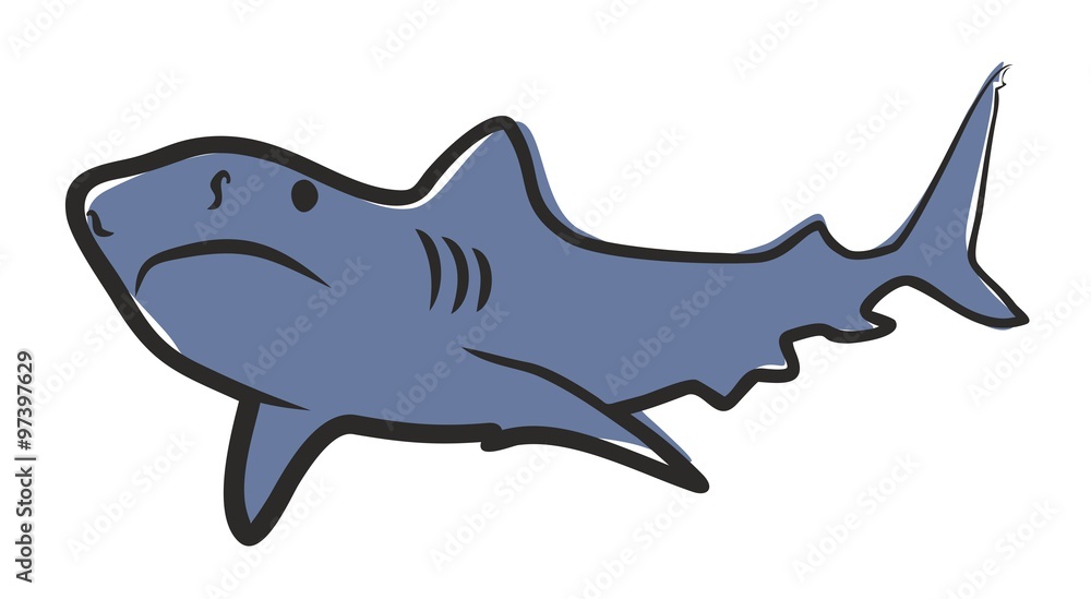 Obraz premium Shark.