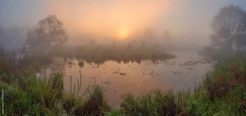 Obraz premium Foggy spring sunrise