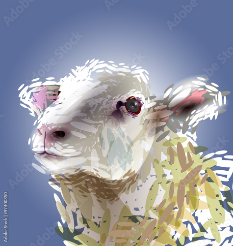 Vector illustration of a sheep head
