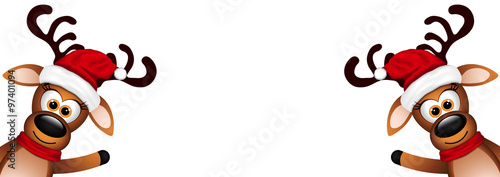 Two funny reindeer on a white background.