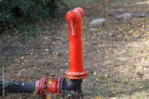 Red fire hydran on  grass photo