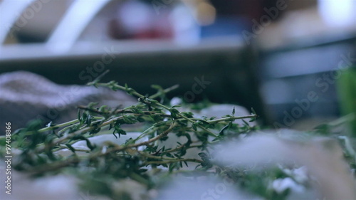 woman's hands selecting fresh thyme for cooking photo