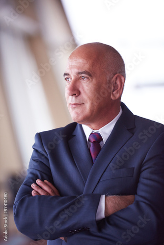 senior business man portrait