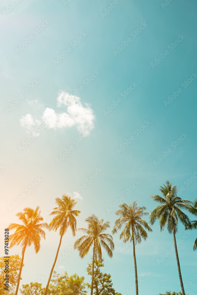 Naklejka premium Vintage nature photo of coconut palm tree in seaside tropical coast