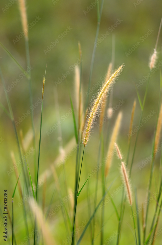 Broga Hill Malaysia..