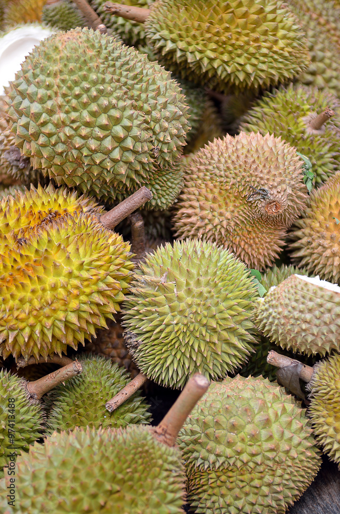 Group of durian in the market... Group of durian in the market...