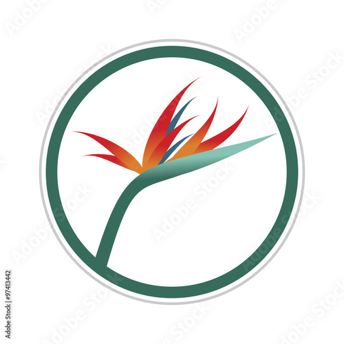 Bird of Paradise Flower Circle Frame
