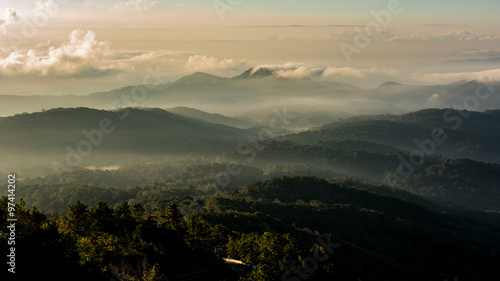 Morning fog in dense tropical rainforest, Misty mountain forest