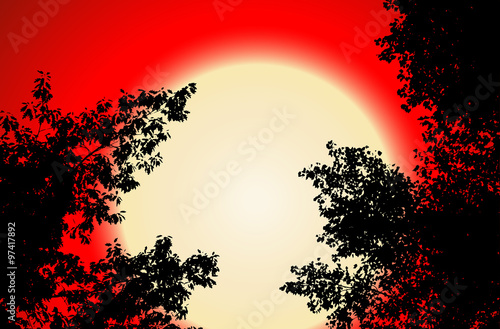 Vector black contour of tree leaves on red sunset background. Vector illustration