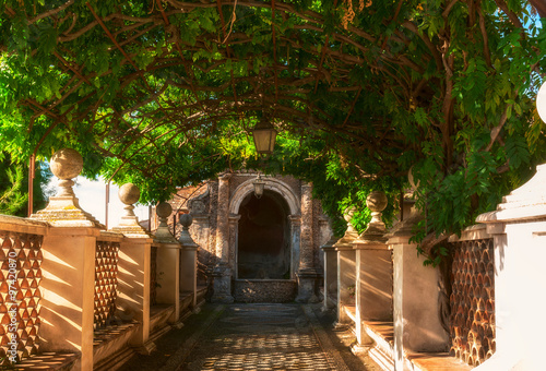 Pergola in park of Villa d Este in Tivoli. Italy photo