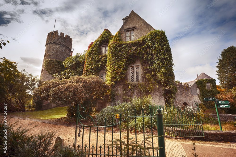 Naklejka premium castle near Dublin by autumn