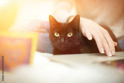 Girl with cat and laptop