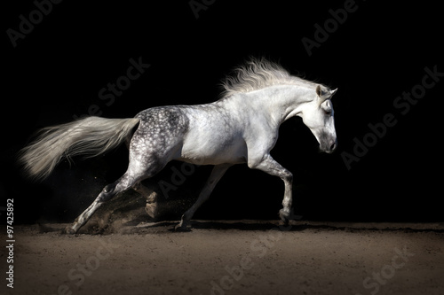 White horse with long mane in desert dust trotting #97425892