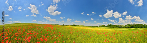 Summer countryside panorama © denis_333