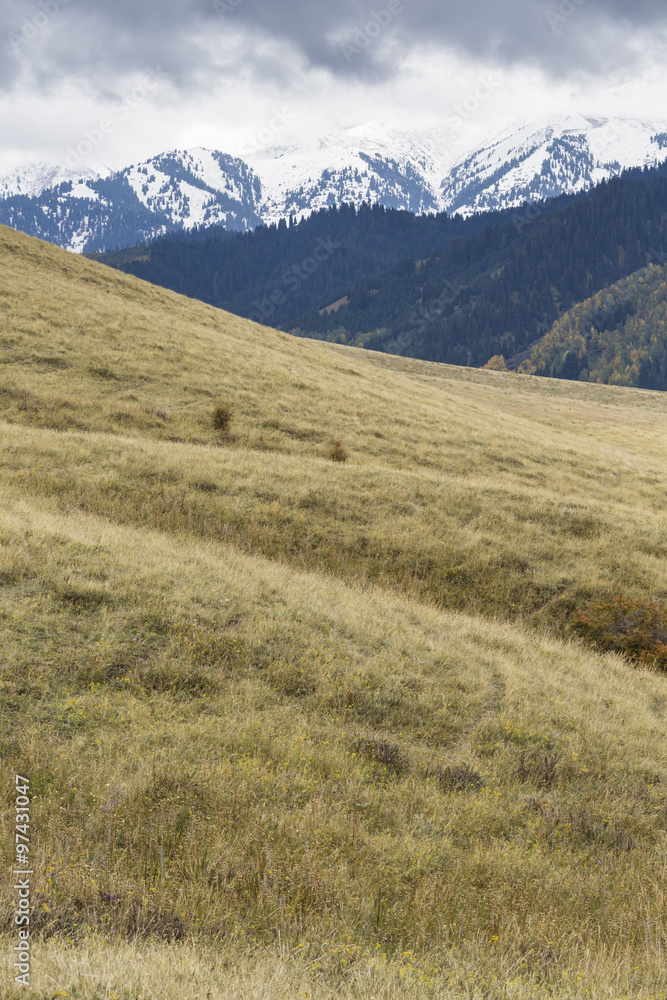 Fototapeta premium Picturesque landscape in Tien Shan mountains in Kyrgyzstan.