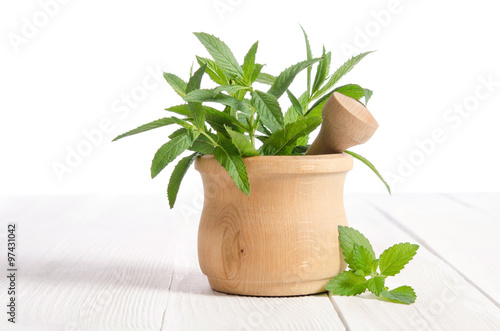 Fresh green mint in wooden mortar on white wooden table