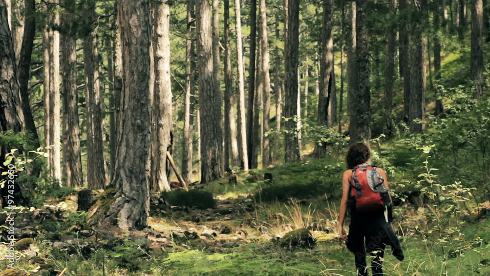Hiking backpacking in the woods of Northern Greece, deep forest Hiking backpacking in the woods of Northern Greece, deep forest