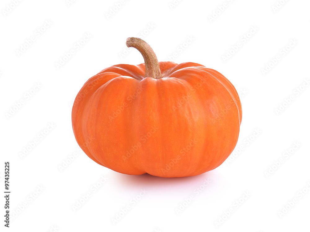 Obraz premium pumpkin on white background