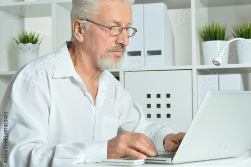 Mature businessman working with laptop
