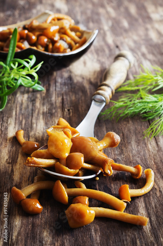 homemade marinated mushrooms