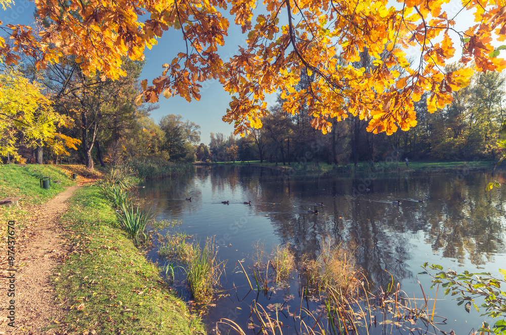 Fototapeta premium Pathway in colorful autumn park over pond on sunny afternoon in Skawina, Poland