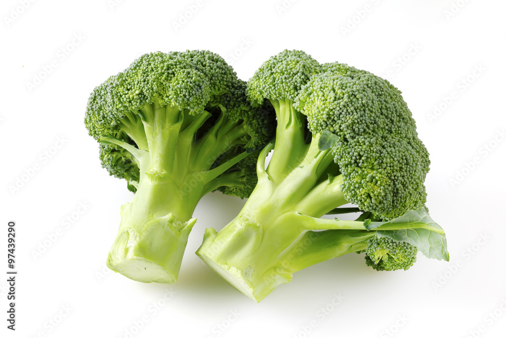 ブロッコリー broccoli ブロッコリー broccoli