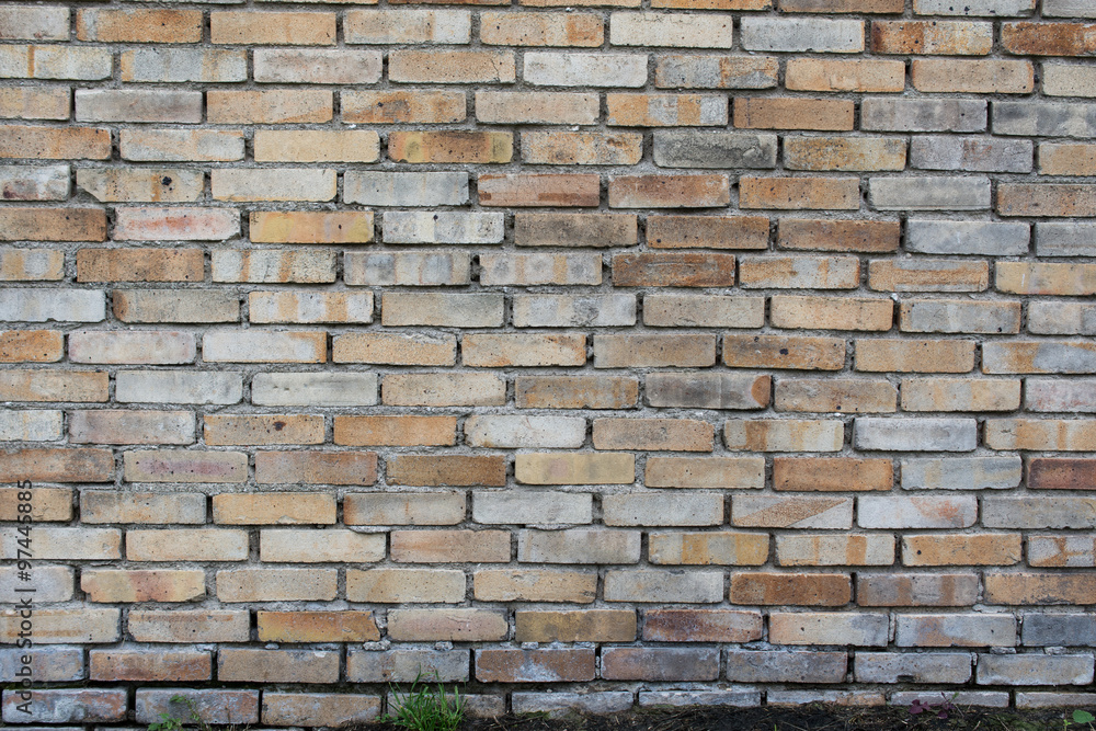 Obraz premium brick wall