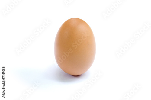 Single brown chicken egg isolated set vertical on white background