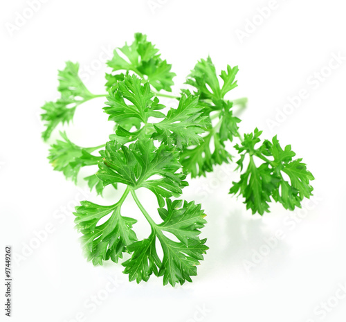 Fresh parsley isolated on white