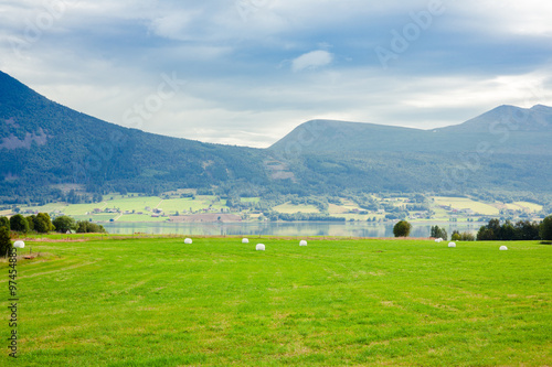 Views of the fjord and green fields in Norway