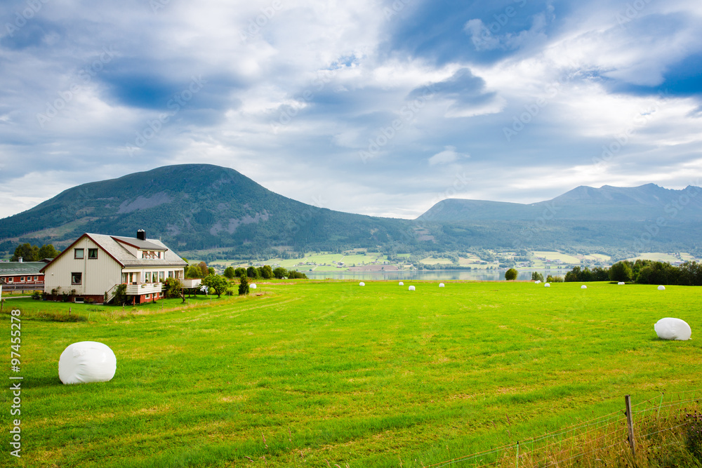 Views of the fjord and green fields in Norway