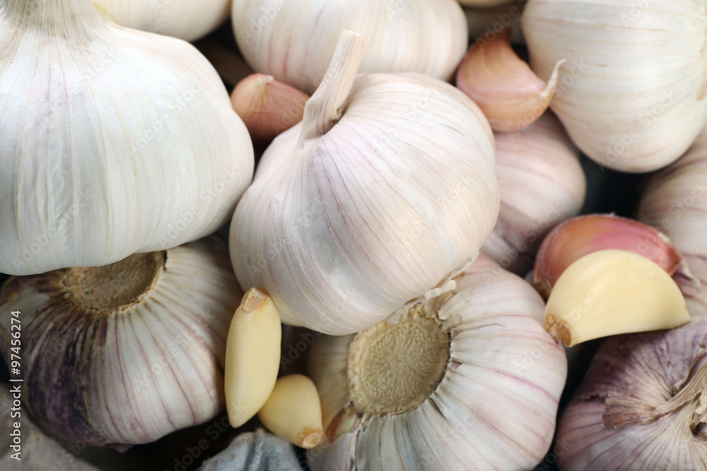 Garlic background