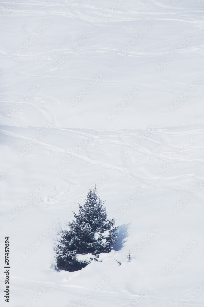 Slope with ski traces Slope with ski traces