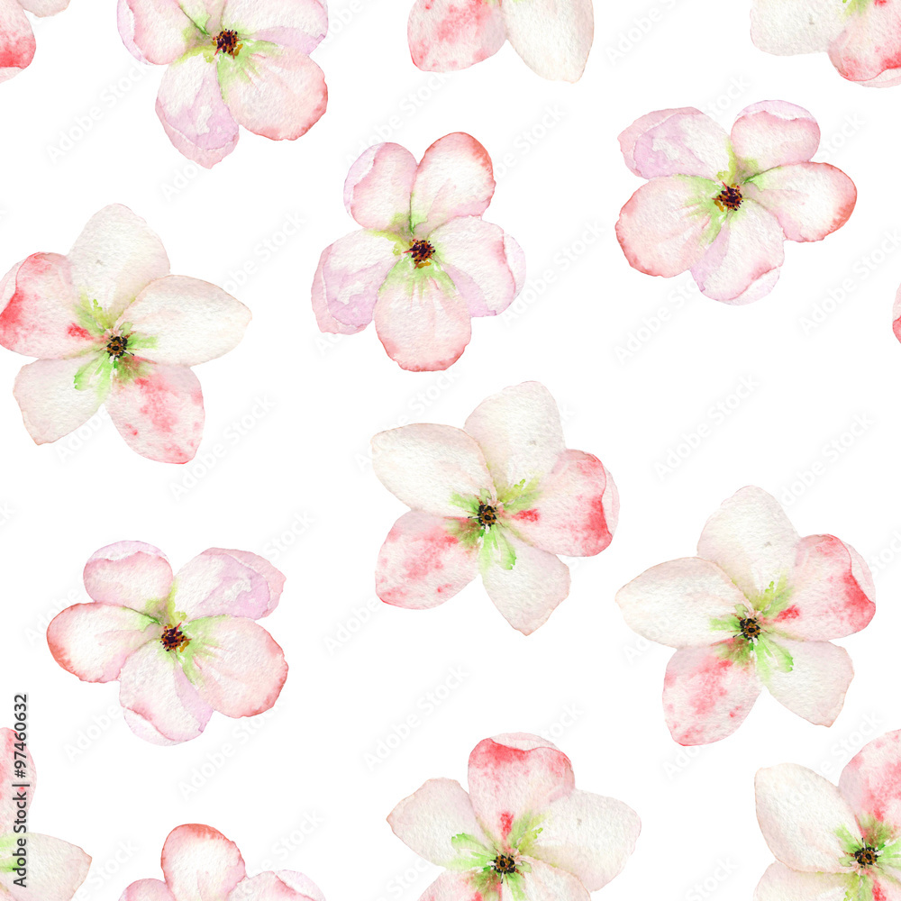 A seamless floral pattern with the tender pink apple tree blooming flowers, painted in a watercolor on a white background